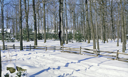 Camp David cabin in the winter